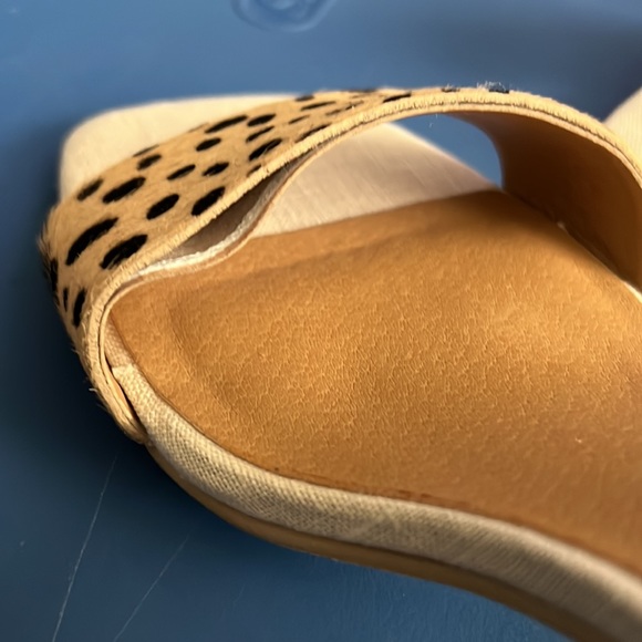 Women’s 3” Dolce Vita Cow Print Heels NWOT - Picture 6 of 7